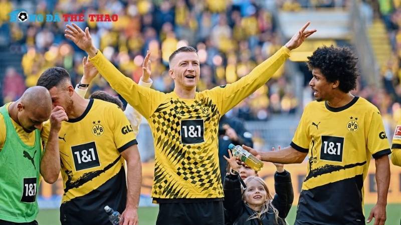 Phân tích phong độ thi đấu đến từ Dortmund