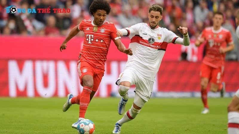 Dự đoán kết quả chung cuộc trận Bayern vs Stuttgart 23h30 ngày 19/10/2024