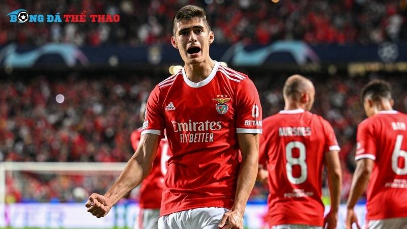 Phân tích phong độ gần đây từ Benfica