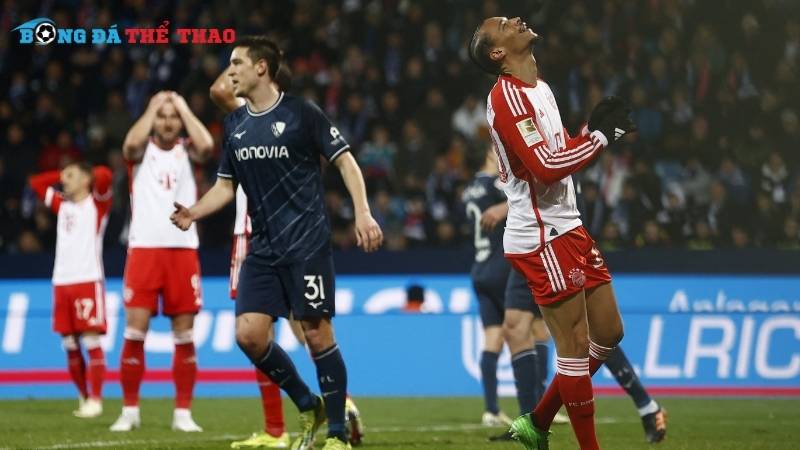 Dự đoán kết quả trận đấu Bochum vs Bayern 21h30 ngày 27/10/2024