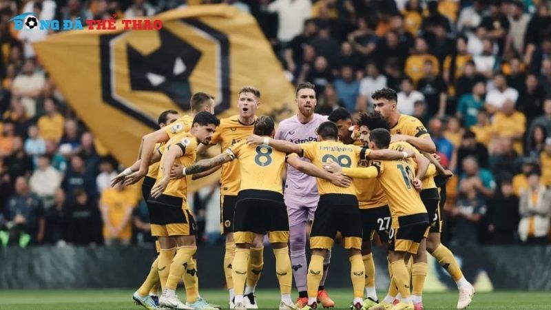 Đánh giá phong độ hiện tại của đội Wolves