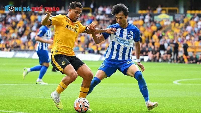 Dự đoán kết quả Brighton vs Wolves 21h00 ngày 26/10/2024