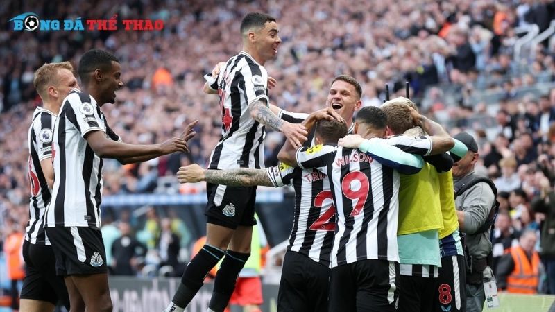 Tìm hiểu phong độ hiện tại của đội Newcastle