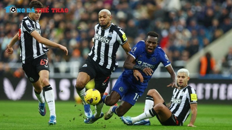 Dự đoán kết quả giữa Chelsea vs Newcastle 21h00 ngày 27/10/2024