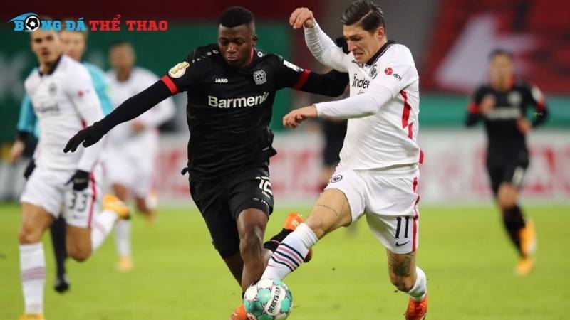 Dự đoán tỷ số trận đấu Leverkusen vs Frankfurt 20h30 ngày 19/10/2024