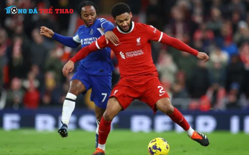 Trận đấu gay cấn giữa Liverpool và Chelsea đang sắp xảy ra tại giải Ngoại Hạng Anh