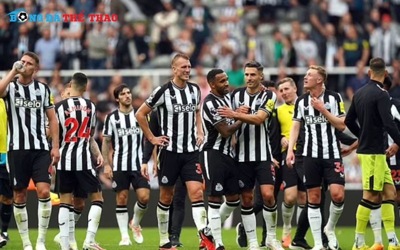 Newcastle United đang trải qua một mùa giải đầy ấn tượng