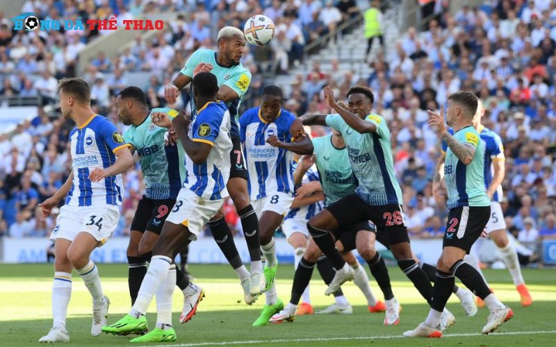 Dự đoán kết quả Newcastle vs Brighton 21h00 ngày 19/10/2024