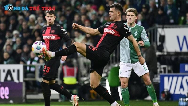 Dự đoán tỷ số chung cuộc trận Werder Bremen vs Leverkusen 23h30 ngày 26/10/2024