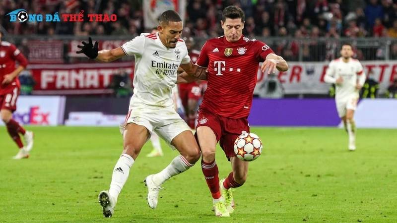 Dự đoán tỷ số chung cuộc trận Bayern vs Benfica 03h00 ngày 07/11/2024