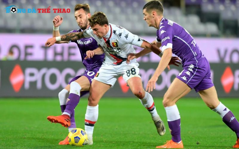 Dự đoán kết quả Genoa vs Fiorentina 00h30 ngày 01/11/2024