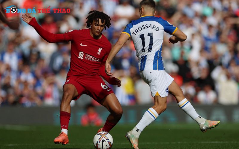 Dự đoán kết quả trận Liverpool vs Brighton 22h00 ngày 02/11/2024