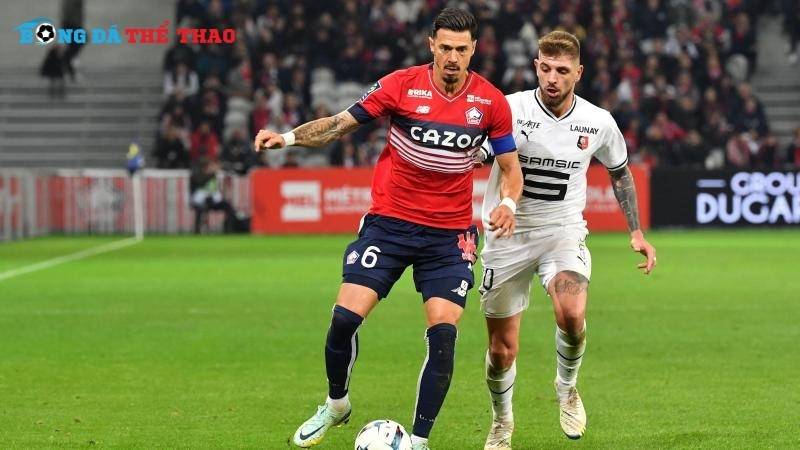 Dự đoán tỷ số chung cuộc trận LOSC vs Rennes 21h00 ngày 24/11/2024