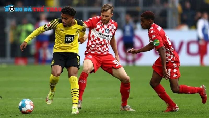 Dự đoán kết quả chung cuộc trận Mainz vs Dortmund 21h30 ngày 09/11/2024