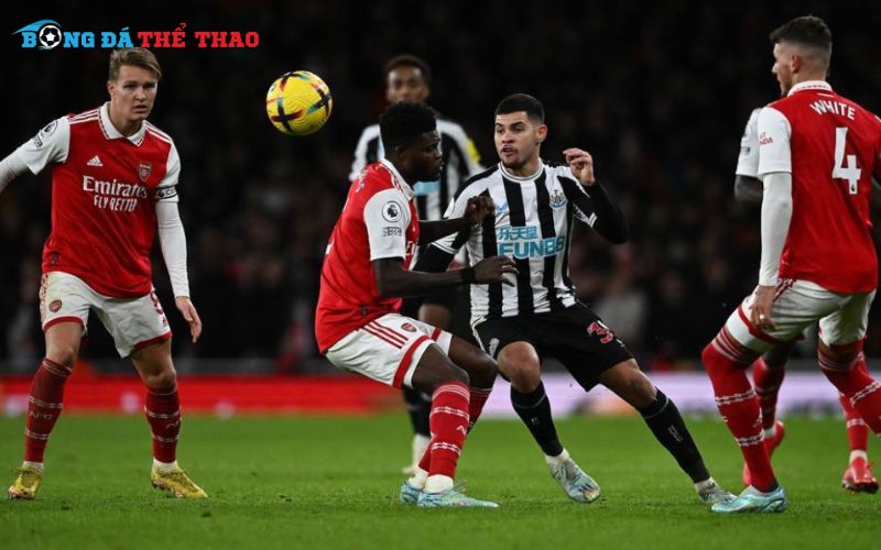 Dự đoán kết quả trận Newcastle vs Arsenal 19h30 ngày 02/11/2024