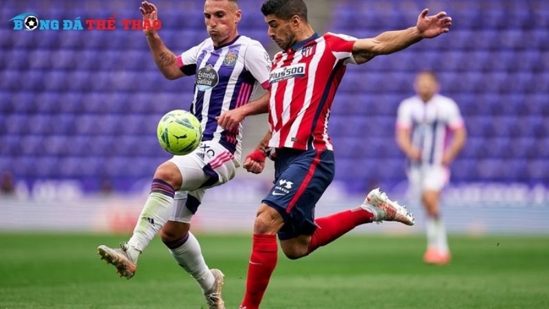 Dự đoán tỷ số trận đối đầu Valladolid vs Atlético Madrid 03h00 ngày 1/12/2024