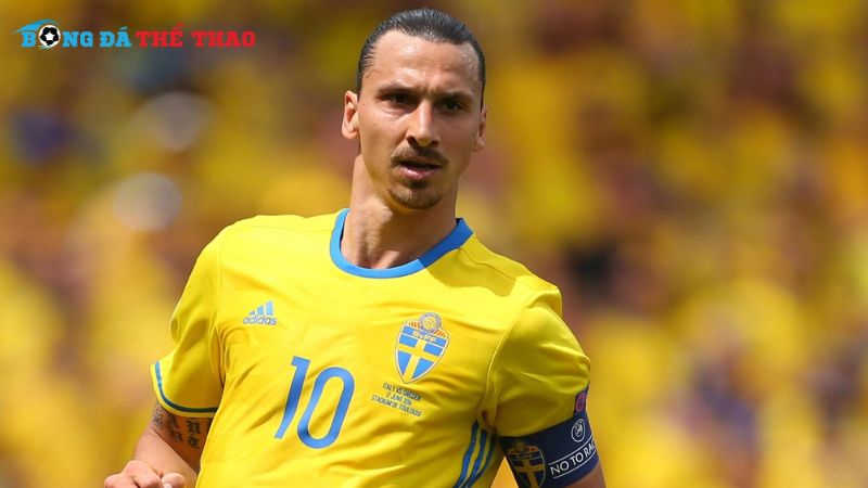 Cầu thủ Zlatan Ibrahimović (Thụy Điển)