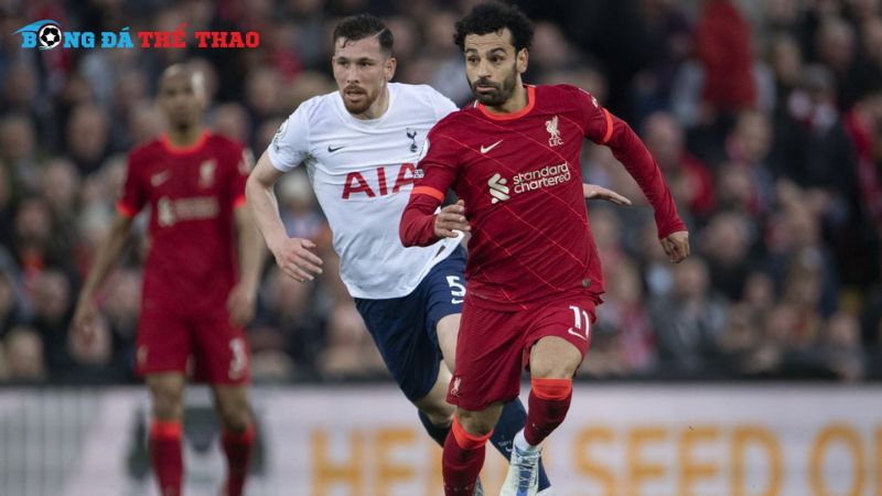 Dự đoán tỷ số trận đối đầu Tottenham vs Liverpool 23h30 ngày 22/12/2024