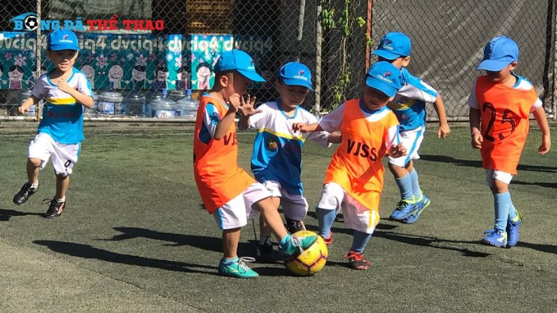 Tăng cường sức khỏe toàn diện