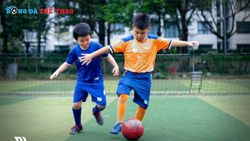 Cải thiện trao đổi chất